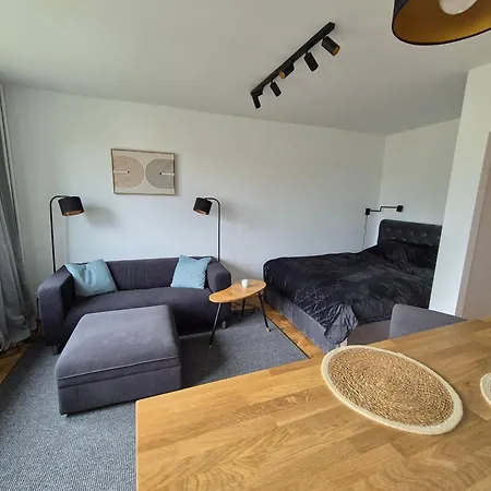 Apartament Klimatyczna Kawalerka W Centrum No 2